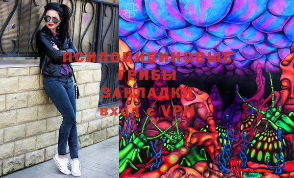 дживик Алексин