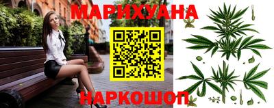 крисы Волгодонск