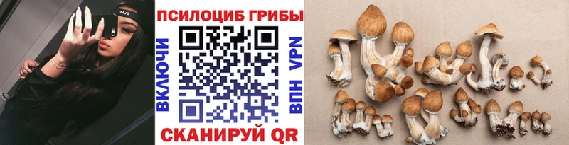 Псилоцибиновые грибы Magic Shrooms  mega зеркало  Ахтубинск  что такое  